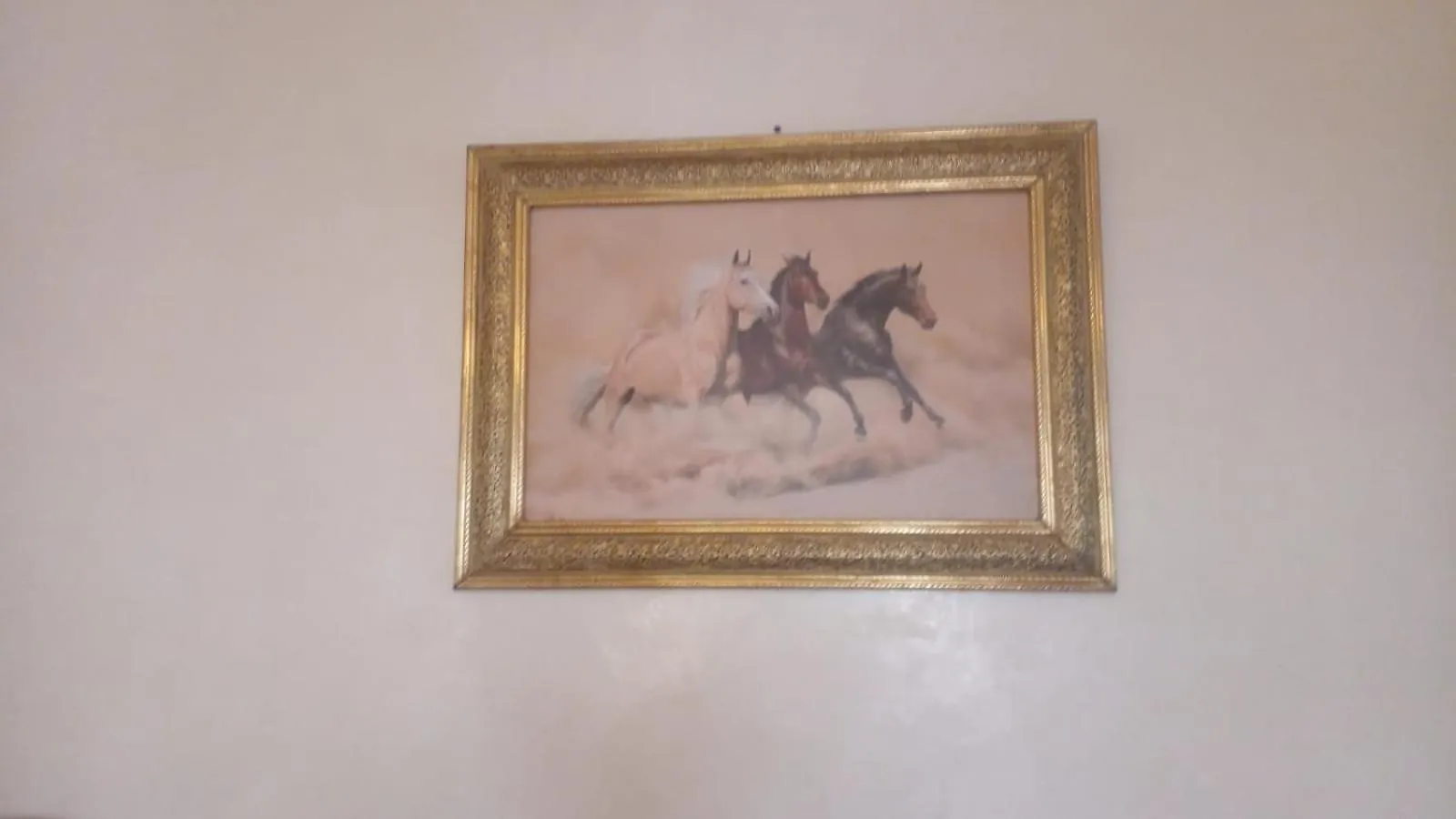 Homestay Calm Cosy Villa Marrakesh Morocco